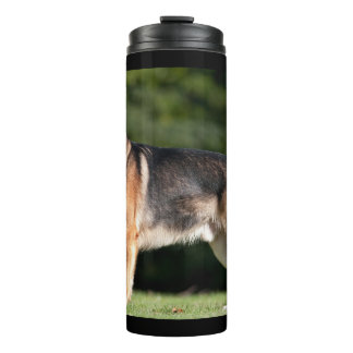 Sun-Kissed at the Park Thermal Tumbler