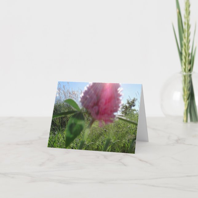 Sun Kissed Clover Note Card (Front)