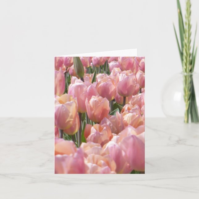 Sun-kissed Pink Tulips Note Card (Front)