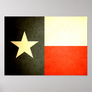 Sun kissed Texas Flag Poster