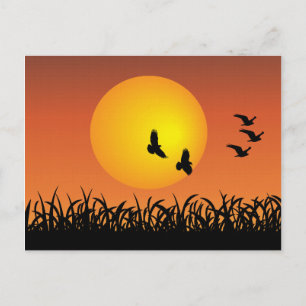 Sun Landscape with Flying Birds Ducks  Postcard