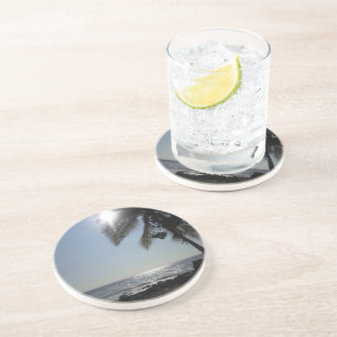 Sun lit Palm Tree Ocean Coaster