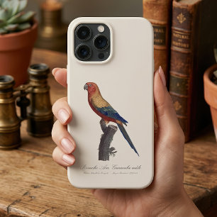 Sun Parakeet Male, Aratinga Solstitialis iPhone 13 Pro Max Case