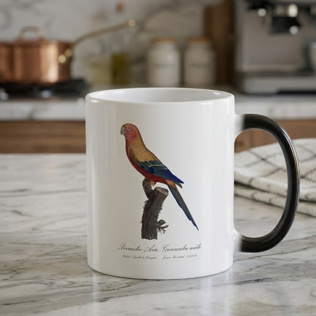 Sun Parakeet Male, Aratinga Solstitialis Magic Mug (Sun Parakeet Male, Aratinga Solstitialis. Color Morph Mug)