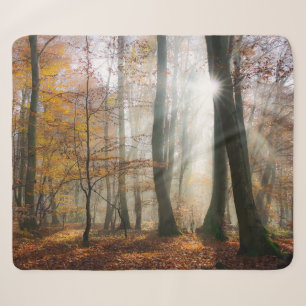 Sun Rays Mystic Scenic Fall Forest Nature Photo .. Sherpa Blanket