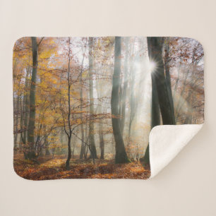 Sun Rays Mystic Scenic Fall Forest Nature Photo Sherpa Blanket