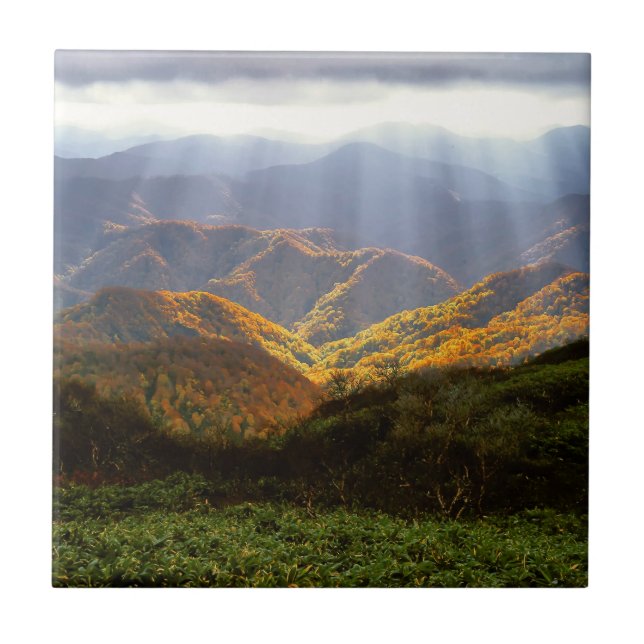 Sun Rays Over Shirakami-Sanchi Mountains Tile (Front)