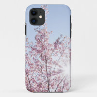 sun rays pass through pink flowers of a wow tree