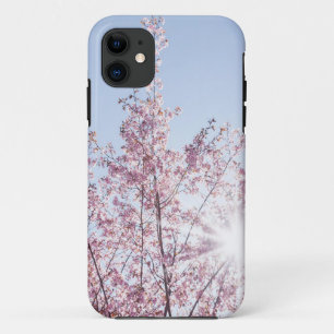 sun rays pass through pink flowers of a wow tree iPhone 11 case