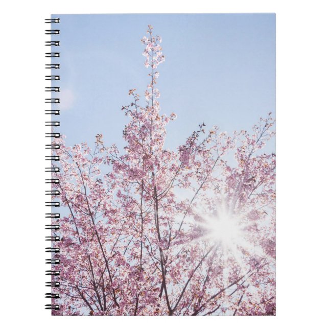 sun rays pass through pink flowers of a wow tree notebook (Front)