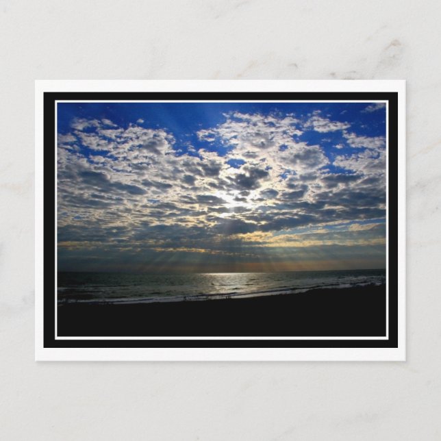 Sun Rays Postcard (Front)