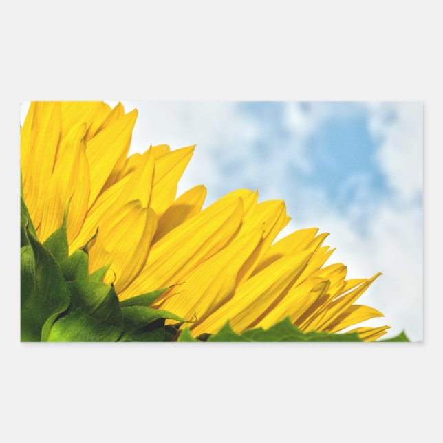 sun rests sticker (Front)