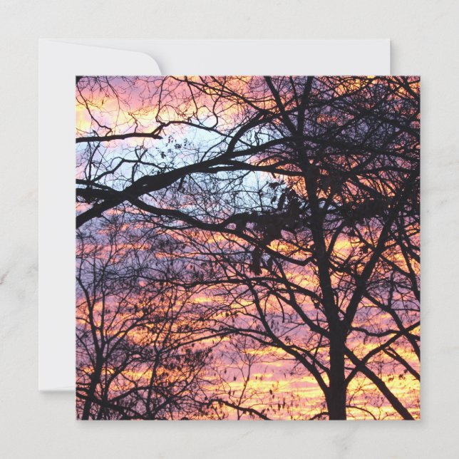 Sun Rise (Front)