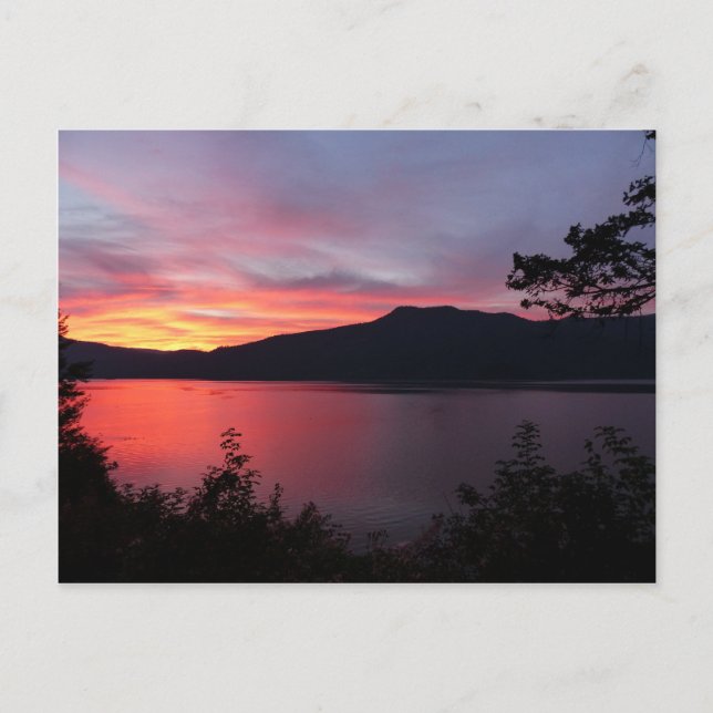 sun-rise-183 postcard (Front)