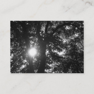 Sun Shining Through Trees B&W Business Card