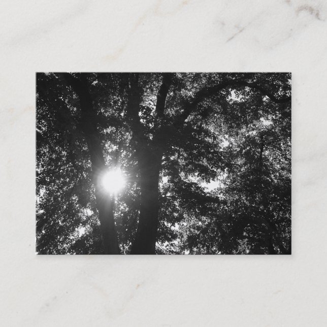 Sun Shining Through Trees B&W Business Card (Front)