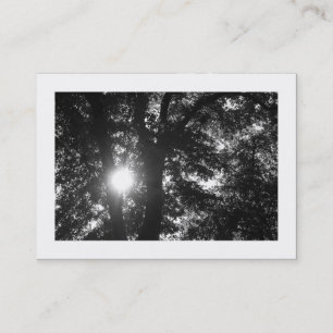 Sun Shining Through Trees B&W Business Card