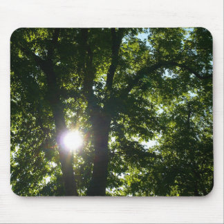 Sun Shining Through Trees Mouse Pad