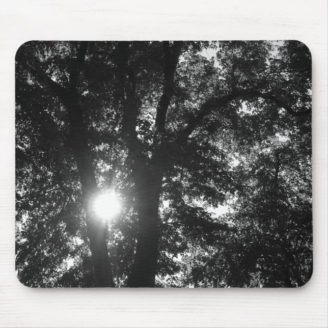 Sun Shining Through Trees Mouse Pad (Front)