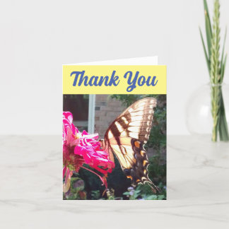 Sun Shining Thru Wings of Tiger Swallowtail Thank You Card