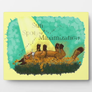 Sun Spot Maximization Plaque