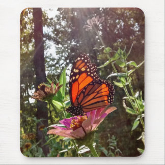 Sun Streaming Down on Monarch on Flower Mouse Pad