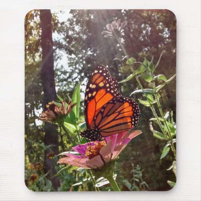 Sun Streaming Down on Monarch on Flower Mouse Pad (Front)