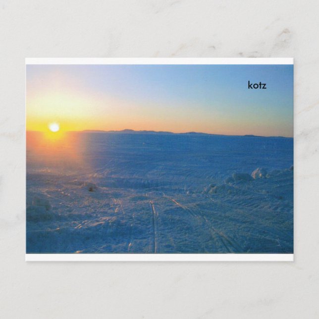 SUN SUN (3), kotz Postcard (Front)