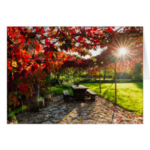 Sun through autumn leaves, Croatia