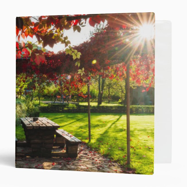 Sun through autumn leaves, Croatia Binder (Front/Inside)