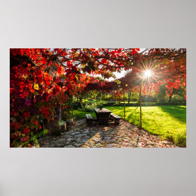 Sun through autumn leaves, Croatia Poster (Front)