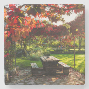 Sun through autumn leaves, Croatia Stone Coaster