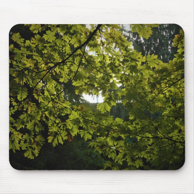 Sun Through Green Leaves Mouse Pad (Front)