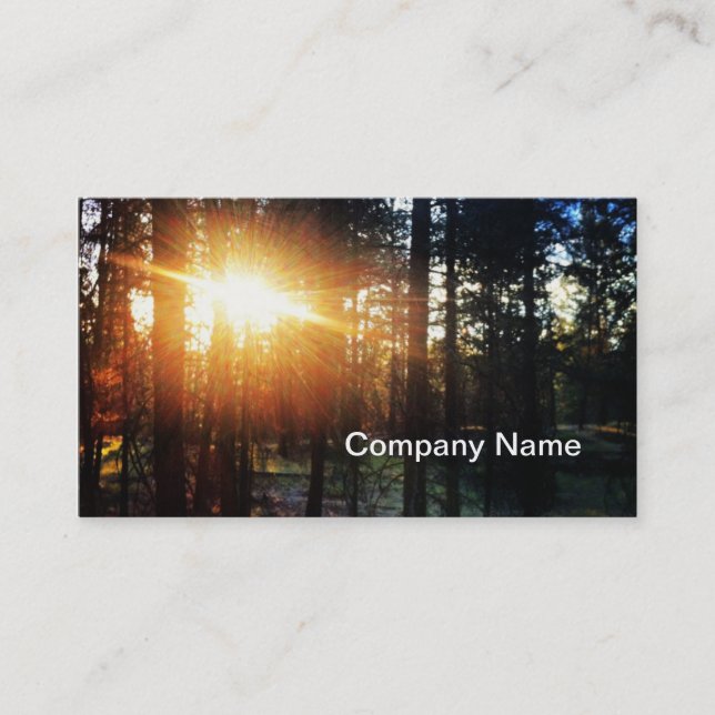 Sun Tree Business Card (Front)