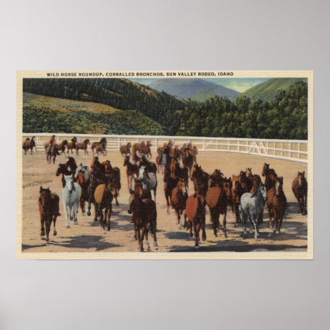 Sun Valley, ID - Wild Horse Roundup Poster (Front)
