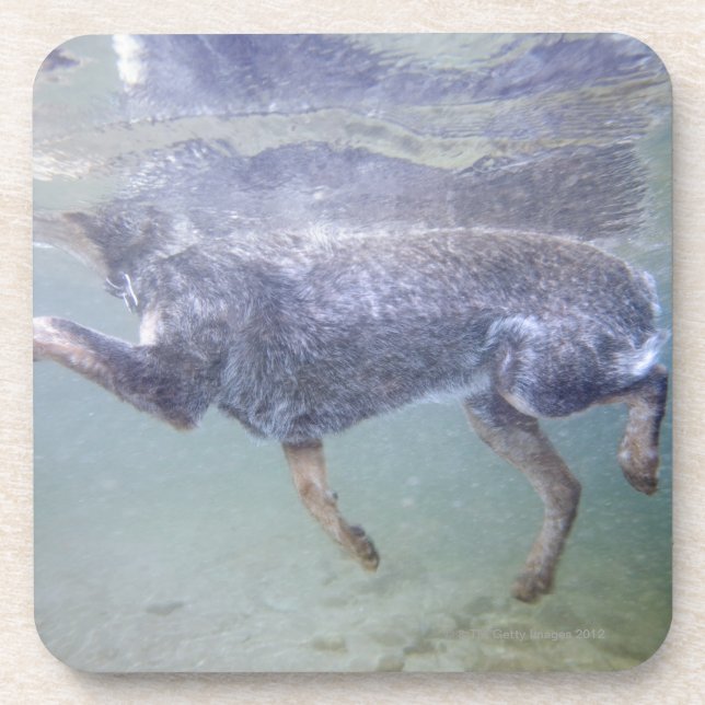 Sun Valley, Idaho, USA. Coaster (Front)