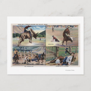 Sun Valley, IDRodeo Bull Dogging Scenes Postcard