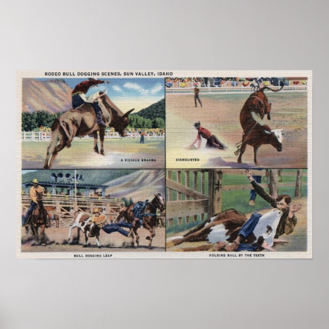 Sun Valley, IDRodeo Bull Dogging Scenes Poster (Front)