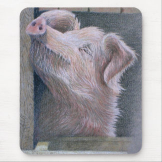 Sun Worship Mouse Pad