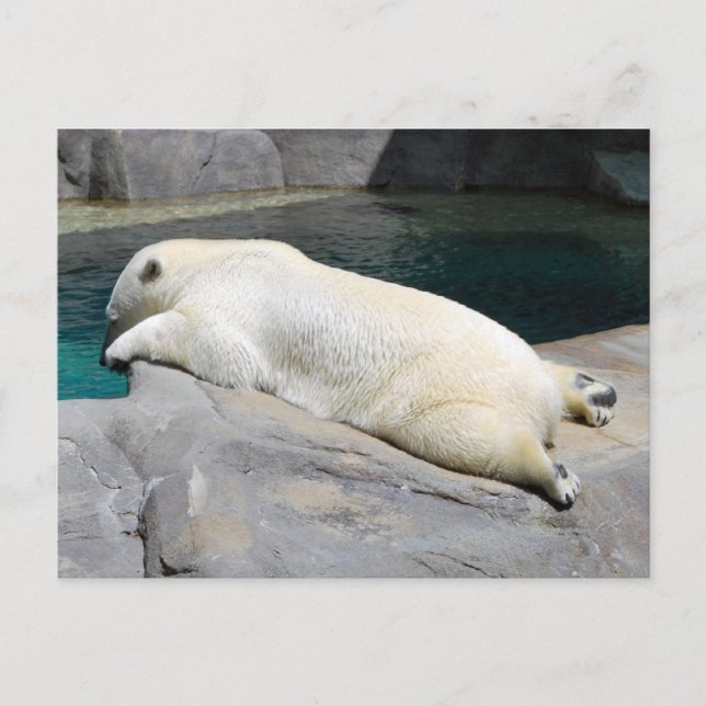 Sunbather Too Postcard (Front)