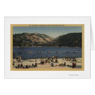 Sunbathers et nageurs sur la plage