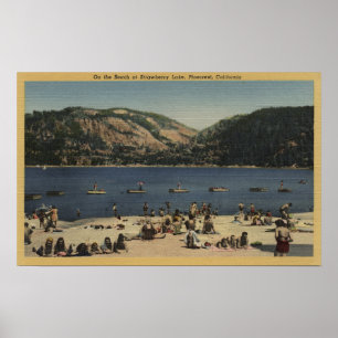 Sunbathers & Swimmers on the Beach Poster