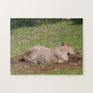 Sunbathing Capybara Jigsaw Puzzle