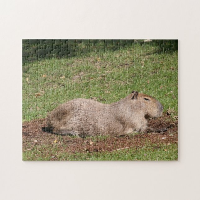 Sunbathing Capybara Jigsaw Puzzle (Horizontal)