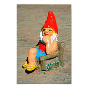 Sunbathing garden gnome photo print