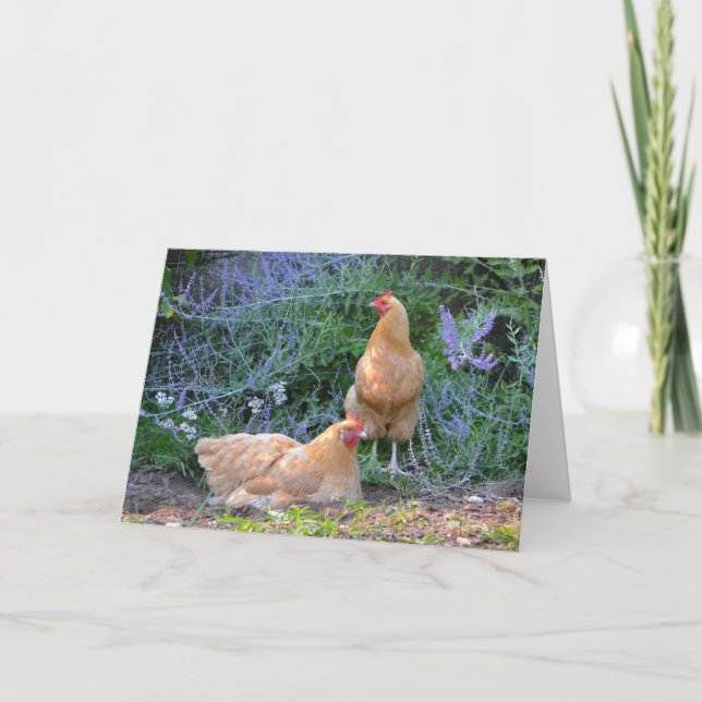 Sunbathing Hens Notecard (Front)