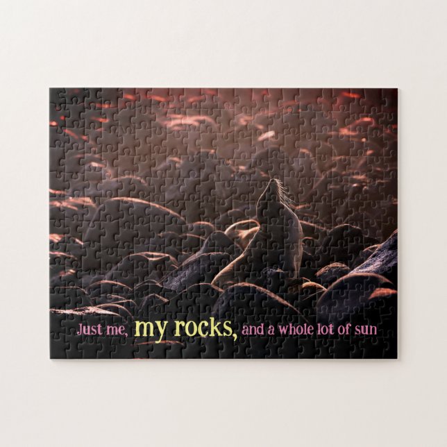 Sunbathing sea lion jigsaw puzzle (Horizontal)