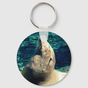 Sunbathing Sea Lion Keychain