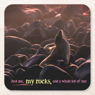 Sunbathing sea lion square paper coaster
