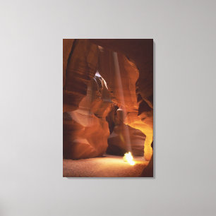 Sunbeam hitting tumbleweed on canyon floor canvas print